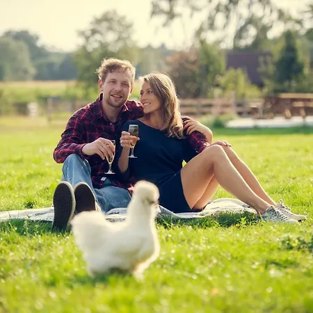 Farm stay De Schaapskooi